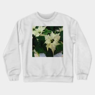 White Poinsettia Watercolor Flower  - Christmas Holiday Florals Crewneck Sweatshirt